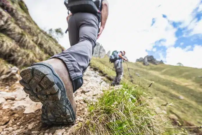 Adidas Hiking Shoes What You Need To Know